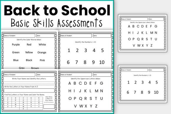Back to School Basic Skills Assessments: A Practical Guide for Educators